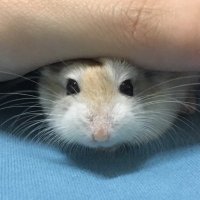 Monning (@monningning) 's Twitter Profile Photo Monning (@monningning) 's Twitter Profile Photo
