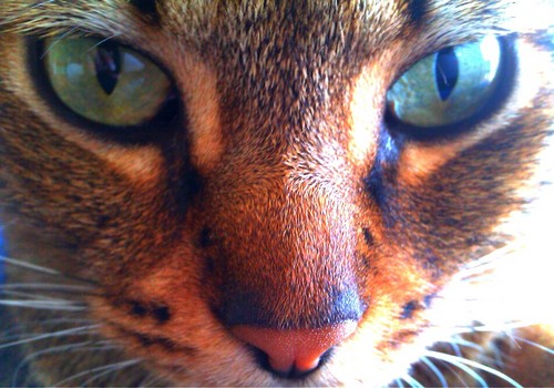 kpsk01's profile picture. 