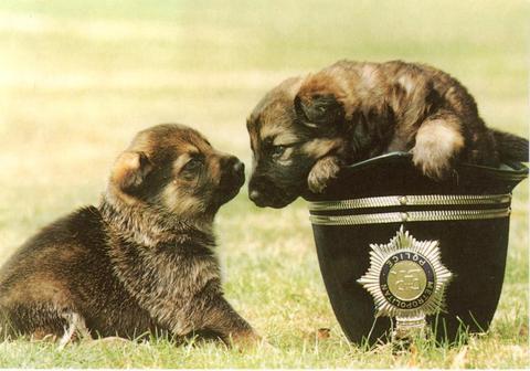 paulieboy_'s profile picture. 