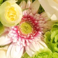 RIKO 🌸🍃꒰ঌ🤍໒꒱🌸🍃🐈💕 (@riko1002saaya) 's Twitter Profile Photo RIKO 🌸🍃꒰ঌ🤍໒꒱🌸🍃🐈💕 (@riko1002saaya) 's Twitter Profile Photo