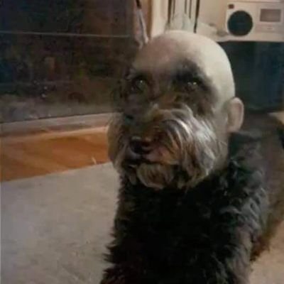 PELONES ???????? (@pelonesbestgc) / Twitter PELONES ???????? (@pelonesbestgc) / Twitter