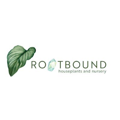 Locally and woman owned houseplant shop selling houseplants, crystals, tarot, and other metaphysical and spiritual wellbeing goods.