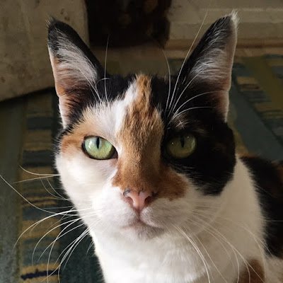 KatY59593676's profile picture. 
