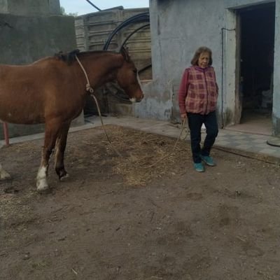 Madre, abuela-Docente jubilada. Pequeña Productora Rural  (empresa familiar).Intento colaborar para mantener una República democrática trabajando.