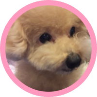 ðYUKOâ€ïžãŠã³ã®ãããã奜ã (@bts_tuffy) 's Twitter Profile