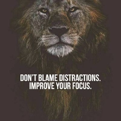 moneyman4729's profile picture. good vibes & nuts