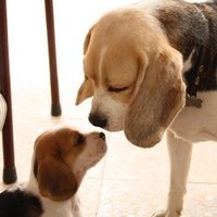 かよこ (@v2vweepm0dwi46l) 's Twitter Profile Photo