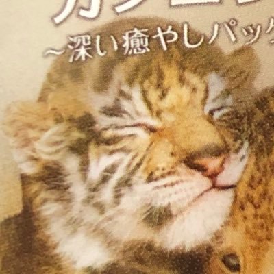 ティガーさんのプロフィール画像