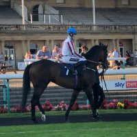 Steven parker (@stevenparker204) 's Twitter Profile