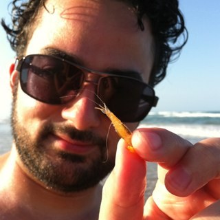 baroquefiddle's profile picture. 