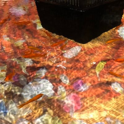 Azuzuo0's profile picture. 🌾の国の暇人！しょっちゅう暇してる！ かまってくれる人が好き！DMの際は顔写真と自己紹介お願いします #裏アカ #裏アカ女子