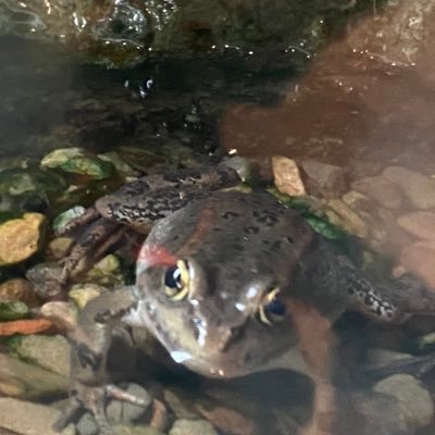 Ciel__gar's profile picture. Strč prst skrz krk!