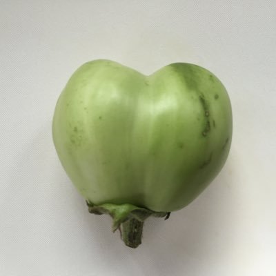 自然いっぱいの田舎生活満喫中🗻気ままに農Life🍅無言のフォロー失礼します🍇色んな人と繋がりたい🍑リプはお気軽に🍒