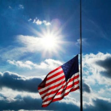 BOATique4AWeek's profile picture. next?