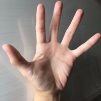 めろ (@h_vgga) 's Twitter Profile