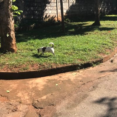 pmatsikure's profile picture. Life is a journey !!!