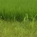 अजहरूद्दीन अंसारी (@zla6htgmfgosyeq) Twitter profile photo अजहरूद्दीन अंसारी (@zla6htgmfgosyeq) Twitter profile photo