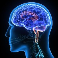 Clinical Neurology and Neurosurgery (@c_neurosurgery) 's Twitter Profile