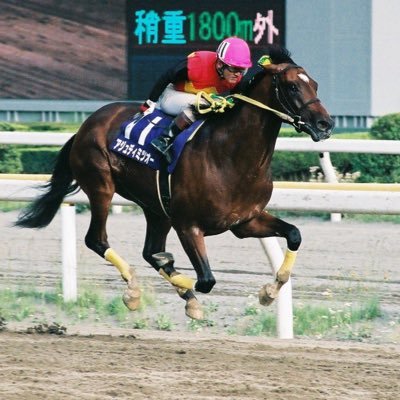 @suigun_fukuyama の写真用アカウント 競馬とボートと競輪とオートレース。写真の無断転載×。アイコンはアジュディミツオー。