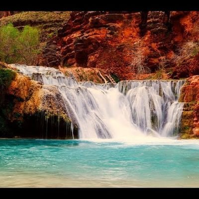 Ali22184678's profile picture. 