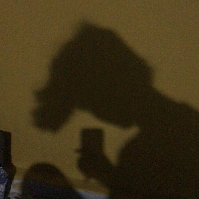 saaarghhh's profile picture. 