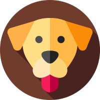 crypto rockers... (@crytpowarriorr) 's Twitter Profile