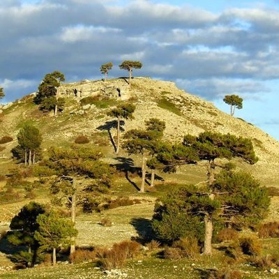 Curioso como estudiante PhD ecología del fuego. Trabajo como #bomberoforestal Técnico de Operaciones. Mis ratos de ocio al aire libre.