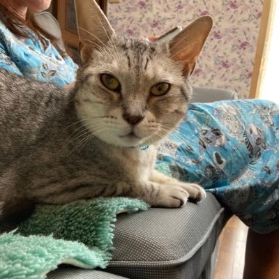 GOMA11123212's profile picture. SNS初心者です。