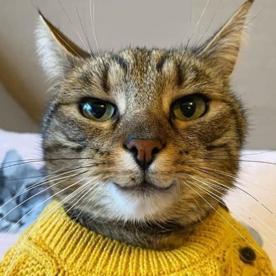 Grody_IT's profile picture. мои самые лучшие мемы https://t.co/XL1NjVXvi0