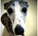 Evelyn_Click - @EvelynClick - Twitter