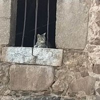triplesole (@triplesole) 's Twitter Profile