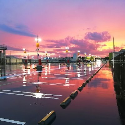 40代富裕層/Webライター/愛知県/FP3級/「配当金>生活費」チャレンジ中
実績:@ DIME、マネーの達人、婦人公論
メディア出演:楽天証券トウシル、TBS ひるおび、毎日放送 よんチャンTV、小学館 DIME
株主優待・優待族(2024年366銘柄)/基本は現物/ポイ活も(2024年実績は40万pt)