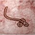 Ebola Zaire (@ebolbaby) Twitter profile photo Ebola Zaire (@ebolbaby) Twitter profile photo