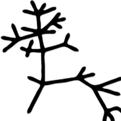 AliAli242526's profile picture. 