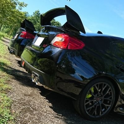 swift_natn2182's profile picture. VAB / swift / rally(like:新井選手・小坂選手組) / photo(Canon , often OLYMPUS)