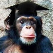 APE in a CAPE Profile