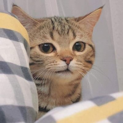 Hi guys i'm good boy :)
https://t.co/dYZZKnzc5U 🏞️
📔
https://t.co/cXuDwjA3vz