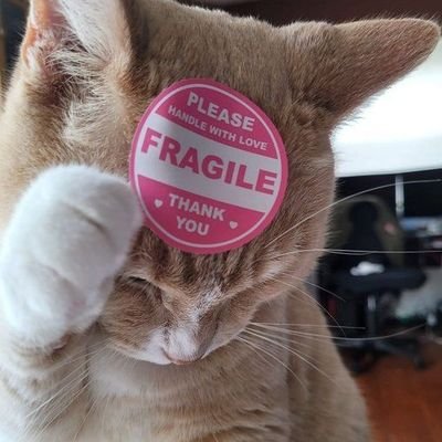 a professional procrastinator | ชอบใส่ใจเรื่องชาวบ้าน