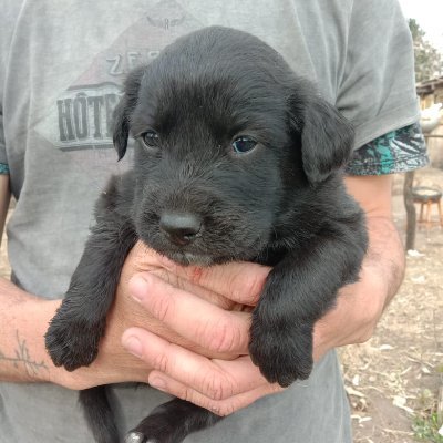 LAURA40441978's profile picture. 