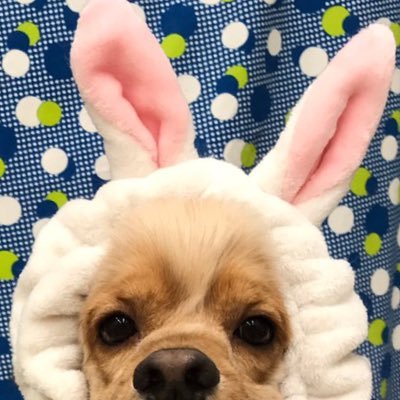 タロ (@z0dJqsUjYRGpzMZ) / Posts / X