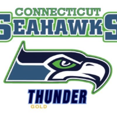 A Rhode Island Thunder Gold Program Seahawksfastpitch@gmail.com