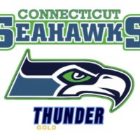 CT Seahawks Thunder Gold (@seahawksctelite) 's Twitter Profile