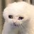 smile2138's profile image