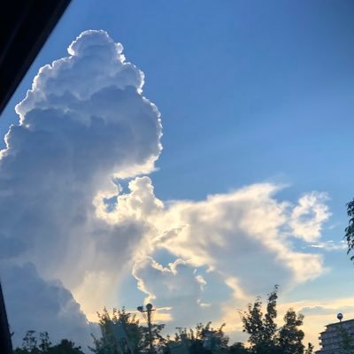 before_secondz's profile picture. 世界が滅びる、その前に。 あなたには、なにができましたか？これは、ありふれた—— ほんの小さな物語です。