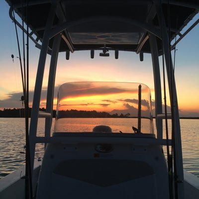 Susan_4America's profile picture. 