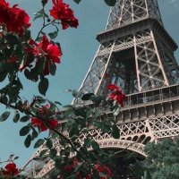 planner (@plannerbm) Twitter profile photo