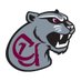 CUMountainlions (@cumountainlions) Twitter profile photo