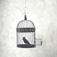 PARAA (@paraar6) 's Twitter Profile Photo