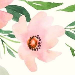 EliseWPratt's profile picture. Catholic. Wife. Mother.