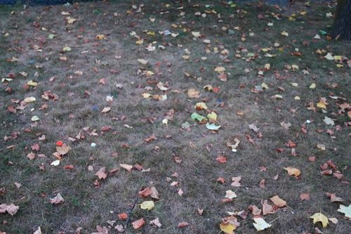 julie_flett's profile picture. Children’s book author, illustrator, artist.